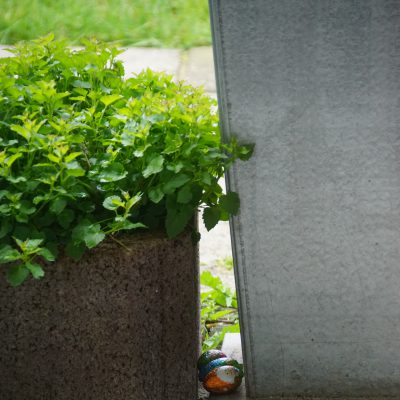 DSC00470