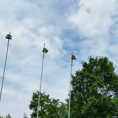 IMG-20190526-WA0018